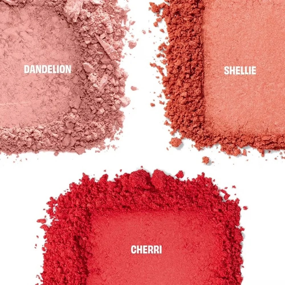 Chocolotta Blush Mini Blush Holiday Palette - Picture 2 of 8